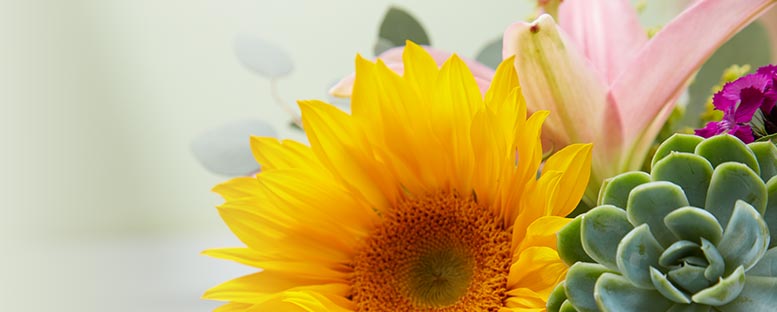 A Guide to Flower Meanings
