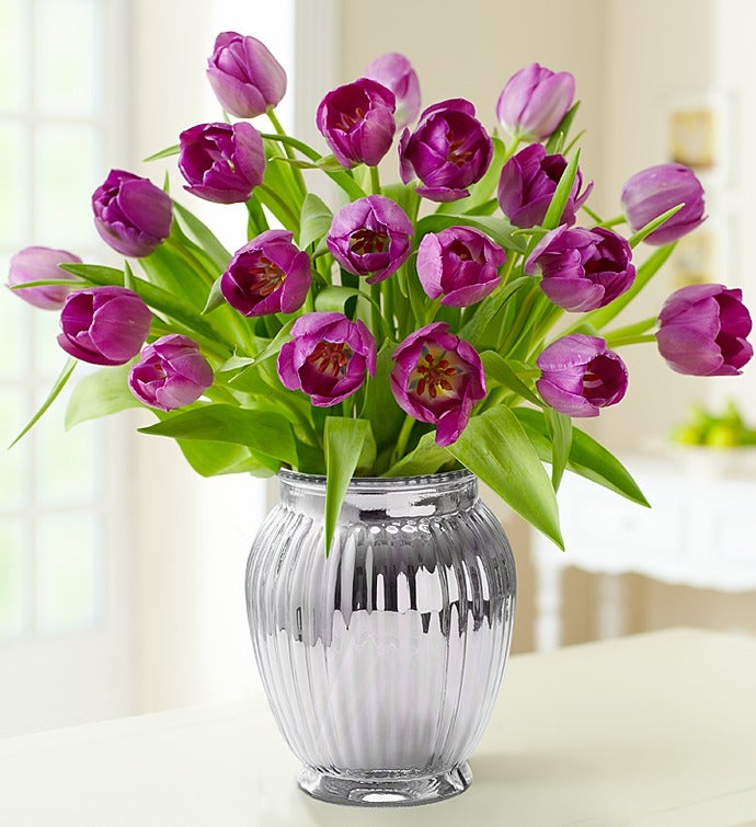 Signature Purple Tulips, 20 Stems
