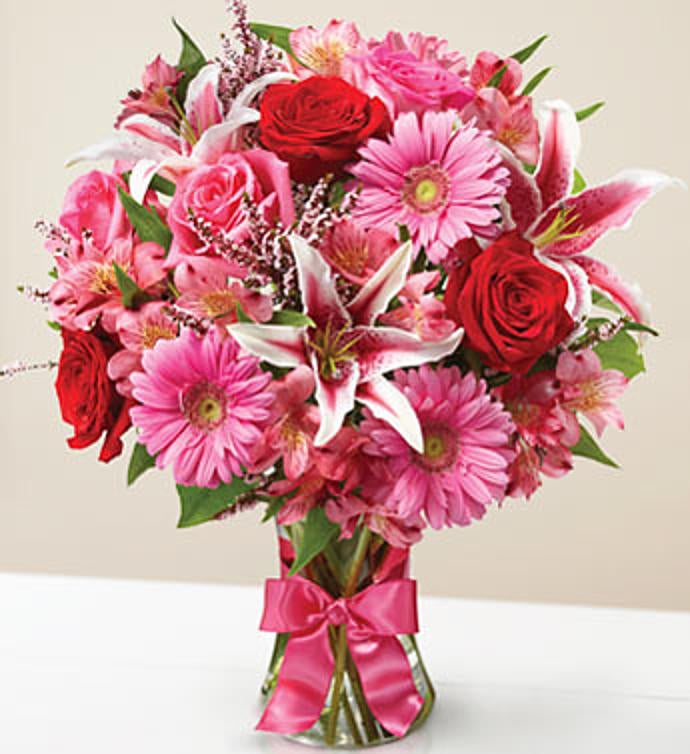 Fields of Europe Romance