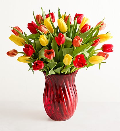 Our Favorite Fall Tulips™