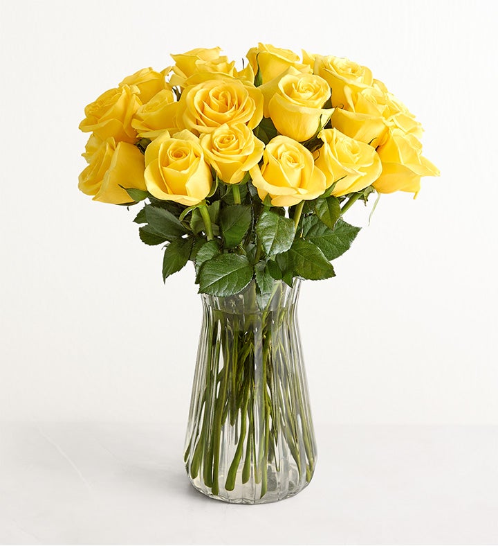 Yellow Roses