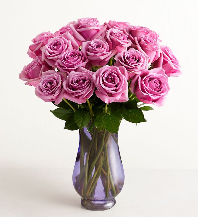 Passion for Purple lovely Roses