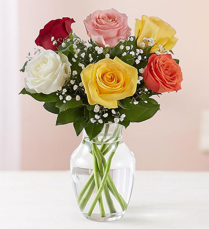 Love’s Embrace™ Assorted Roses