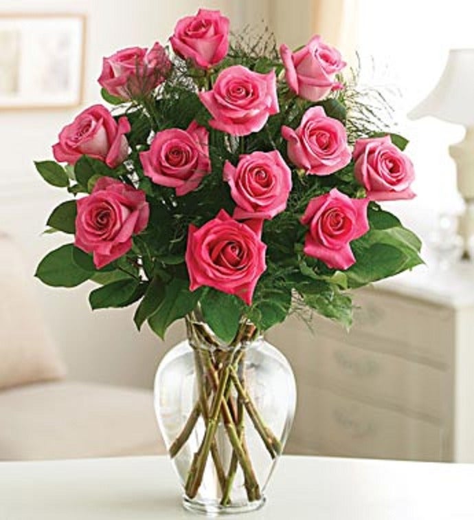 Rose Elegance TM Dozen Pink Roses
