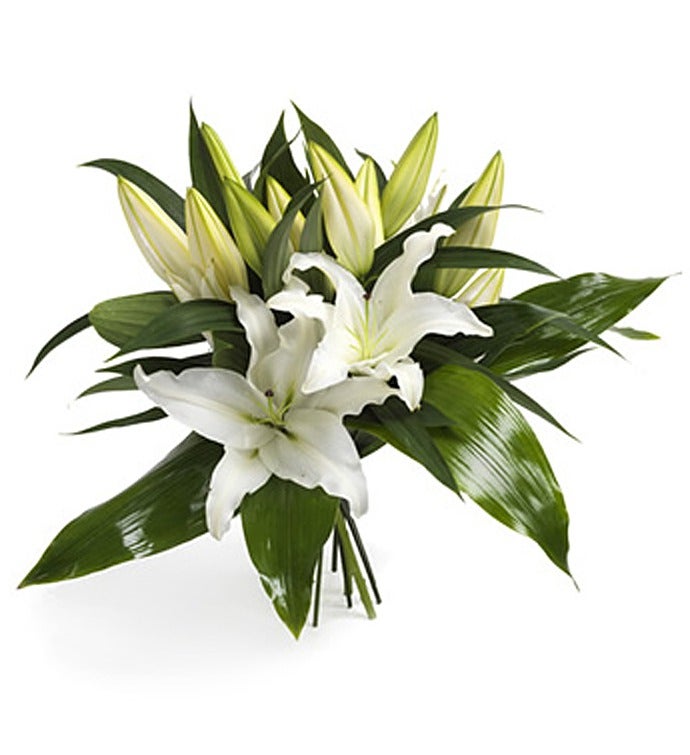 Wonderful White Lilies