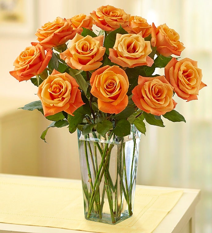 Sunrise Orange Roses,12 24 Stems