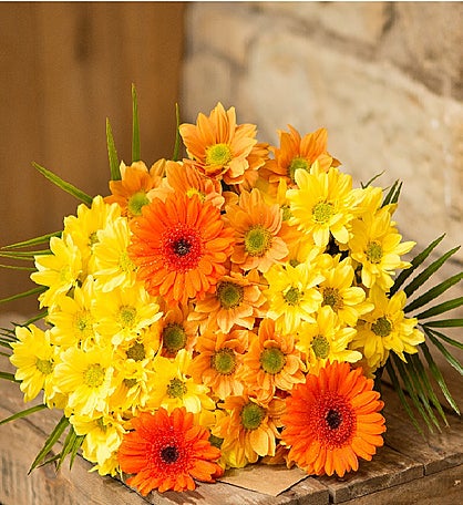 Oranges and Lemons