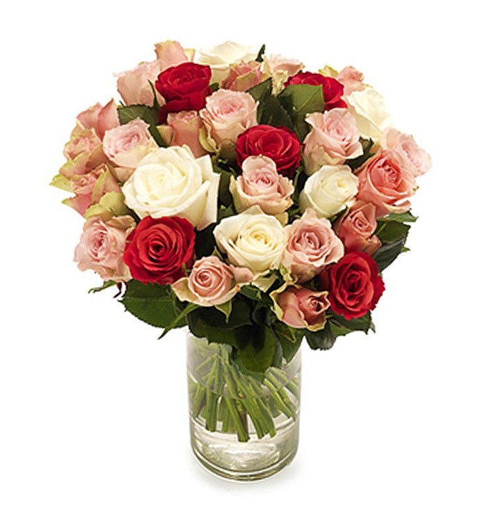 Soft Roses
