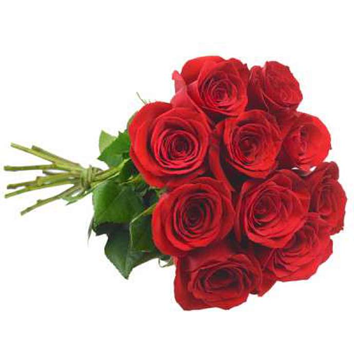 10 Columbian Red Roses