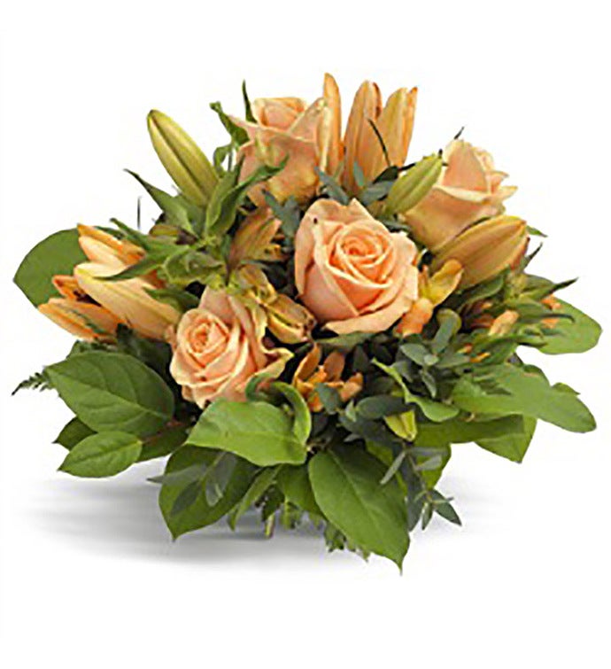 Flourishing Favourite