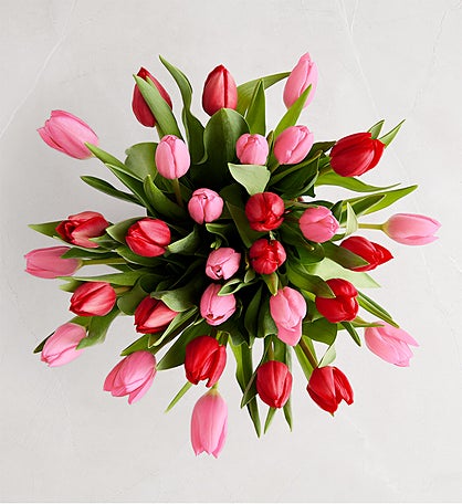Sweetest Love Tulips
