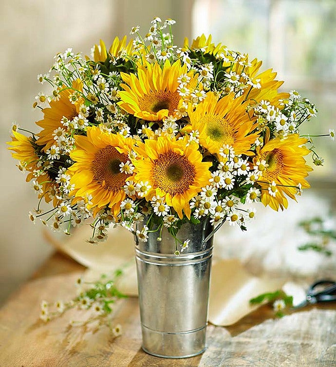 Fresh Cuts™ Sunflowers & Matricaria