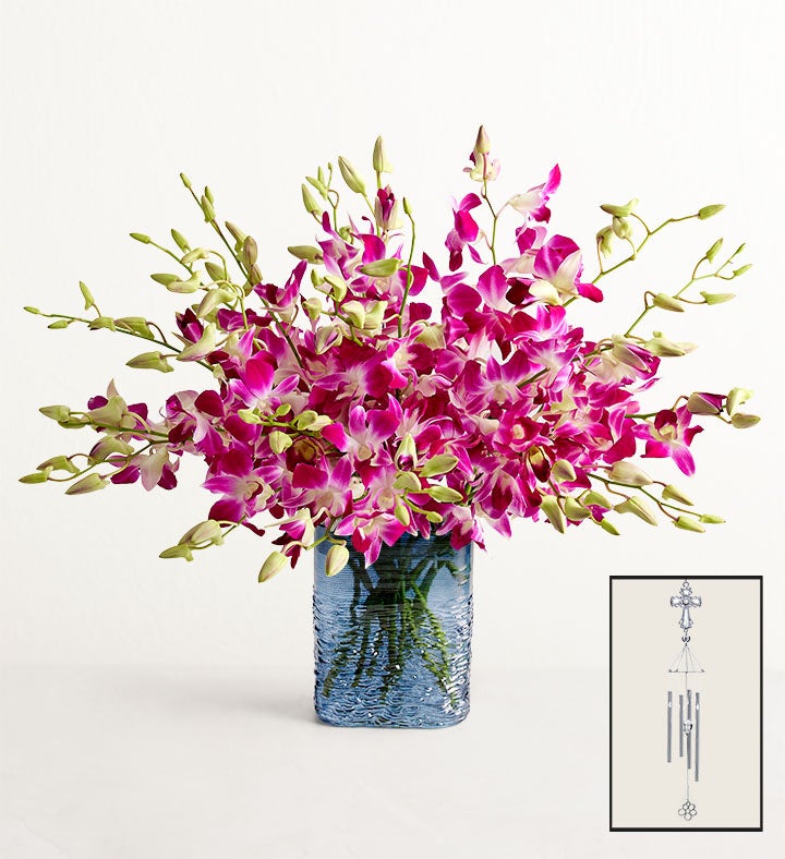 Sympathy Orchids