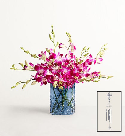 Sympathy Orchids