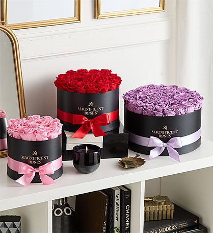 Magnificent Roses® Preserved Roses