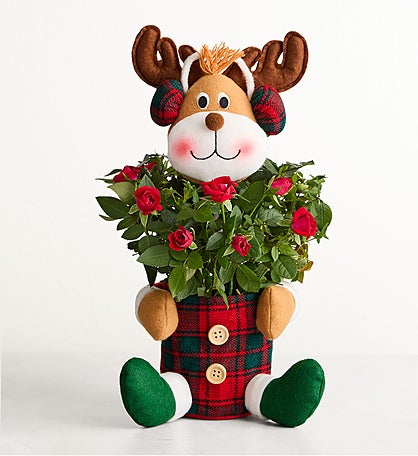 Red Rose Reindeer