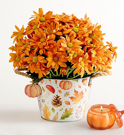 Pumpkin Patch Mum
