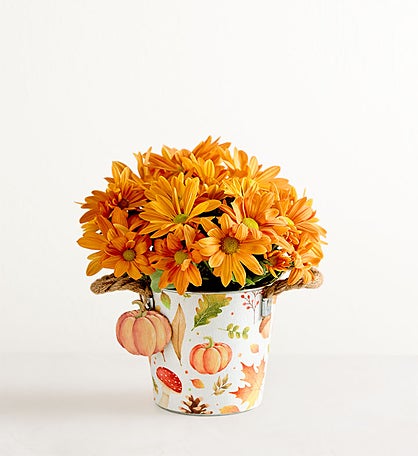 Pumpkin Patch Mum