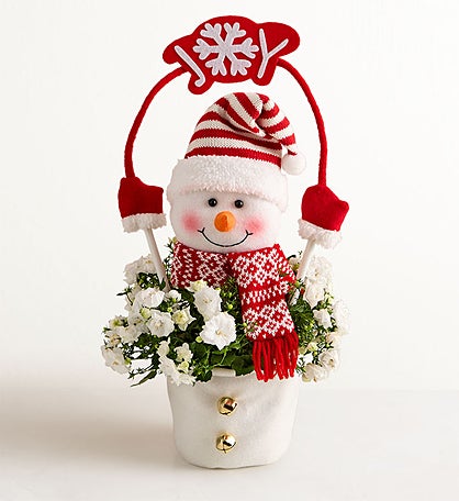 Frosty the Snow Plant