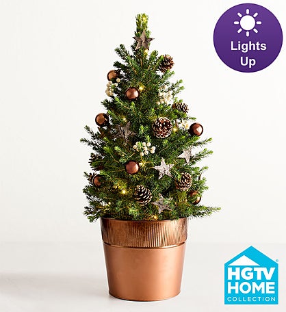 Large Christmas Traditions Fresh Spruce Tree