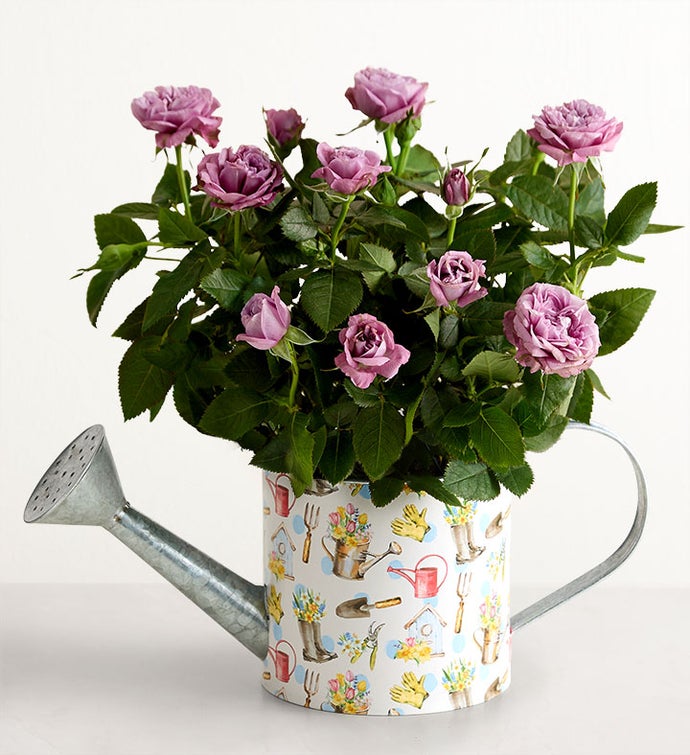 Spring Watering Can