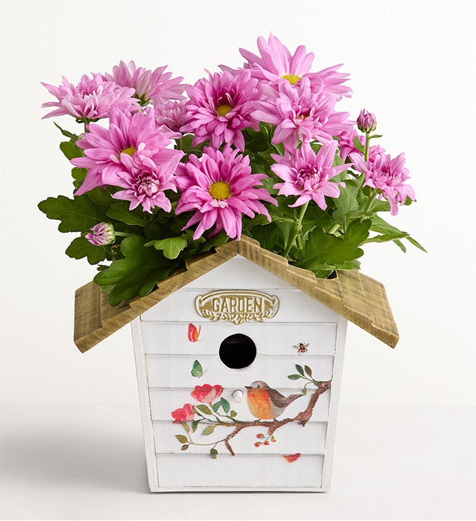 Birdhouse of Blooms™
