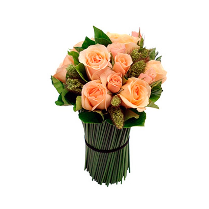 Roses & Co - Salmon