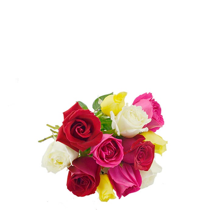 Colorful Roses