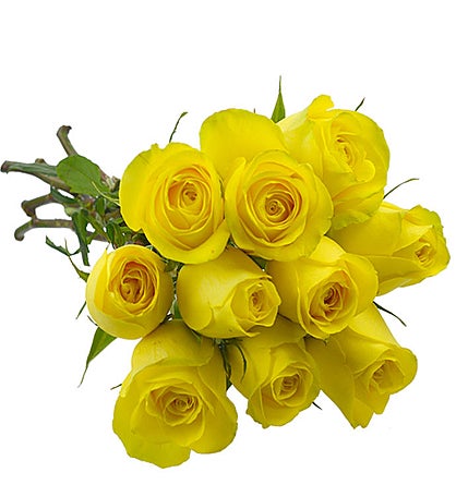 10 Yellow Colombian roses