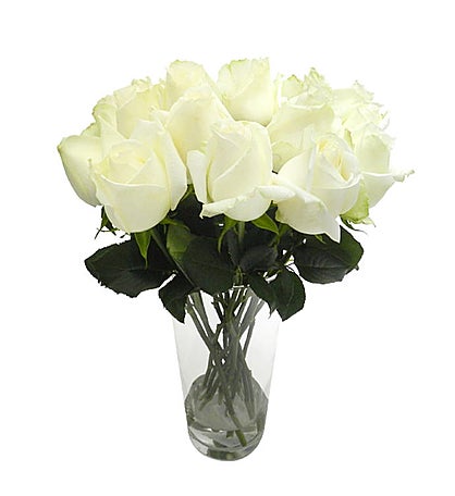 15 White Brazilian Roses