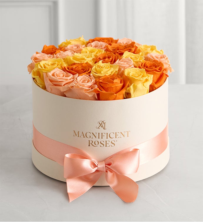 Magnificent Roses® Preserved Citrus Roses