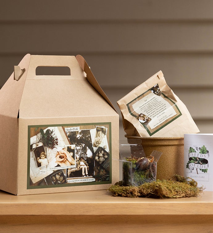 Seeds of Life™ Tree Kit for Sympathy