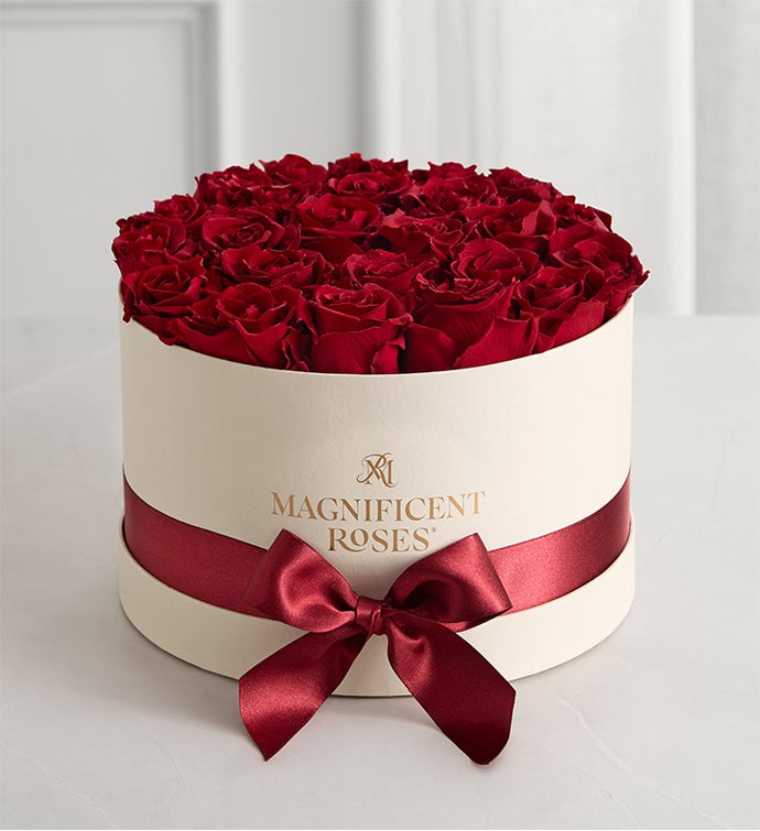 Magnificent Roses® Preserved Cabernet Roses