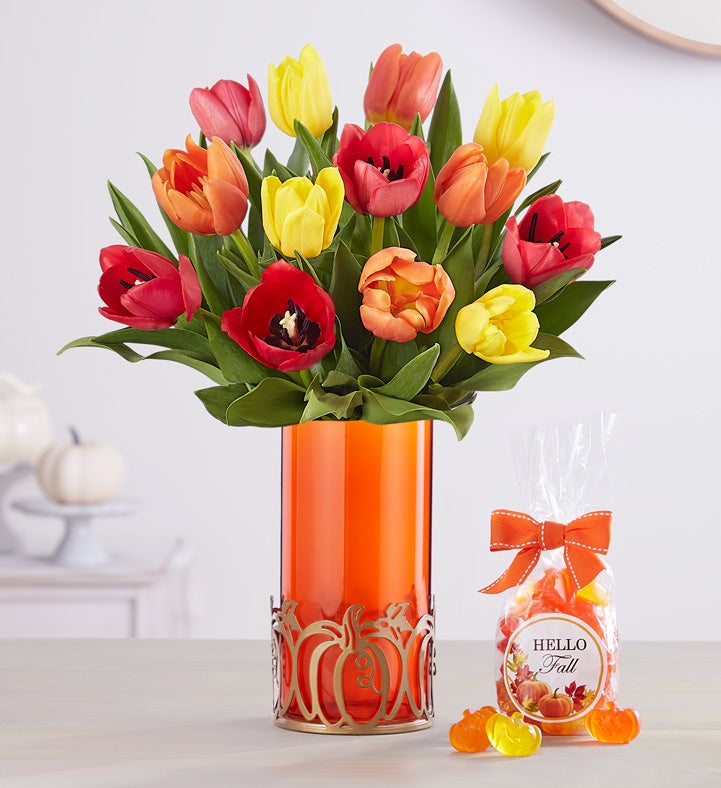 Assorted Fall Tulips