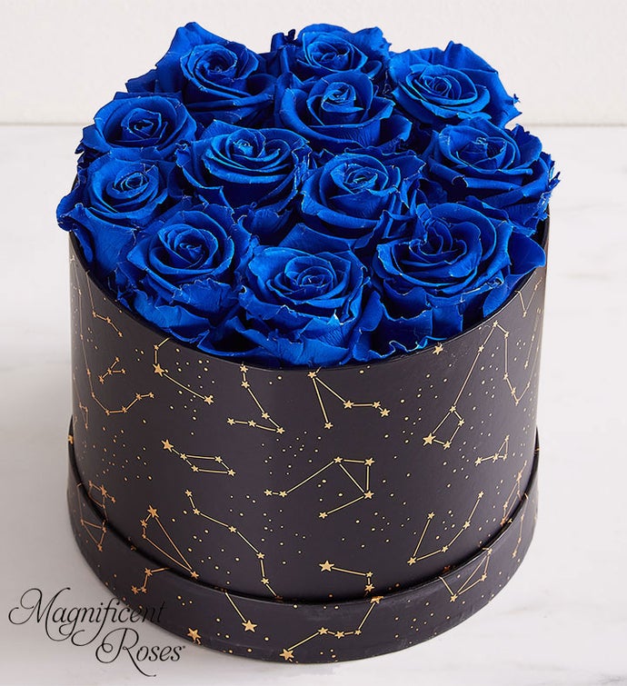 Night Sky by Magnificent Roses®