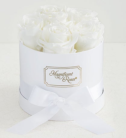 Magnificent Memories Gift Set