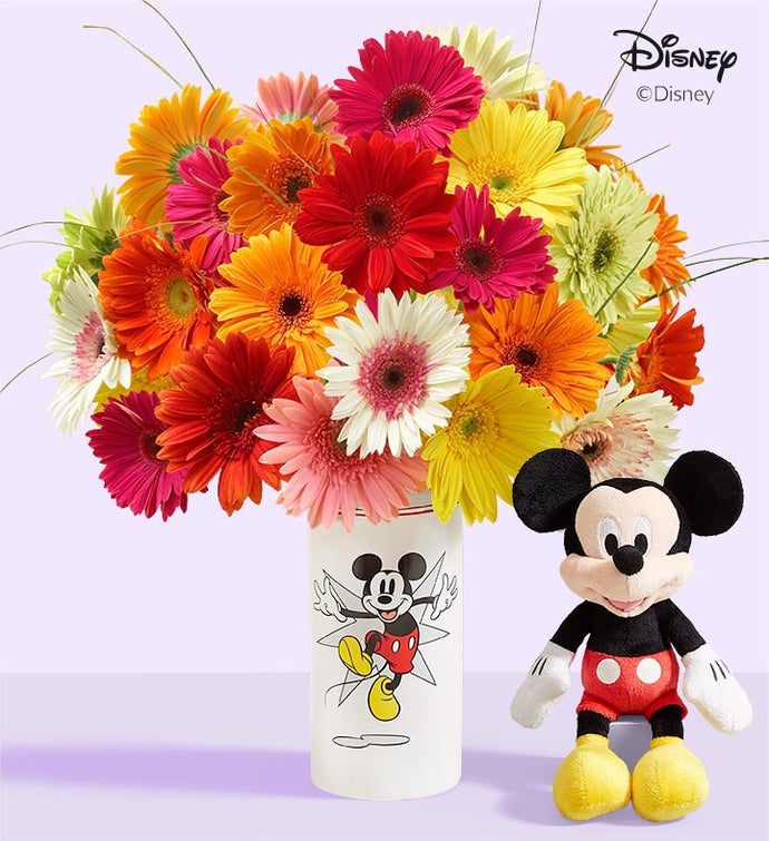 Disney Mickey Mouse Vase with Gerbera Daisies, 24 Stems