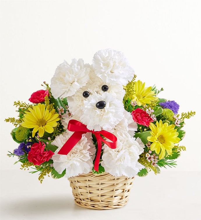 a DOG able® in a Basket