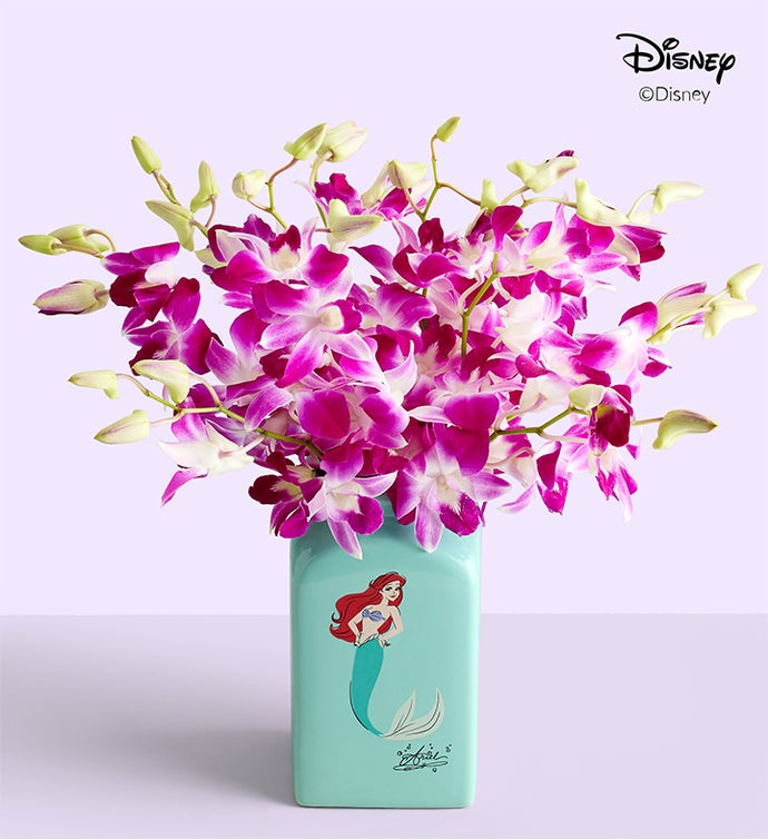 Disney’s Ariel Ocean Splash Orchids