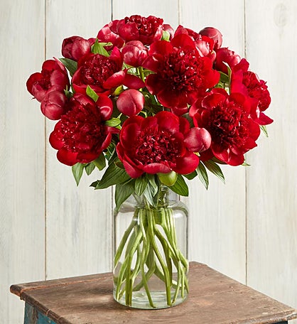Red Charm Peony Bouquet
