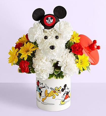 Disney Mickey Mouse and Friends Cookie Jar – a-DOG-able