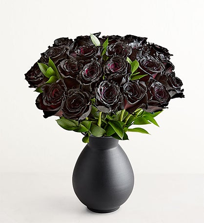 Midnight Black Roses