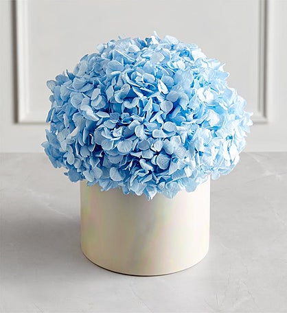 Magnificent Roses® Preserved Domani Blue Hydrangea