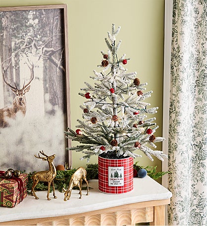 Farmhouse Christmas Tree with Lights- 24”