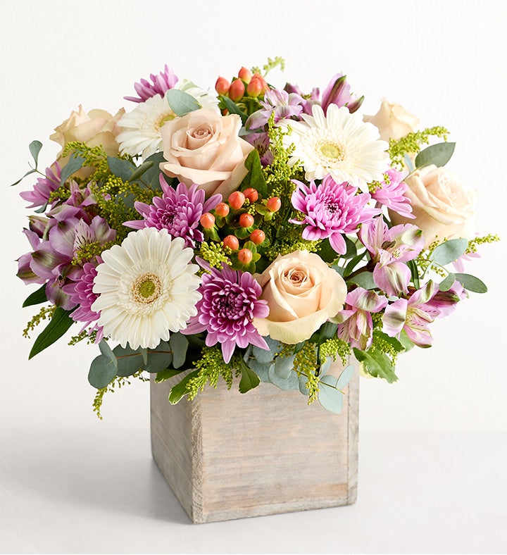 Seraphina's Garden™