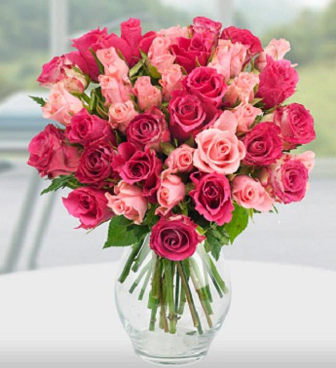 Pretty Pink Roses