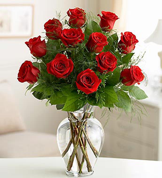 One Dozen Red Roses
