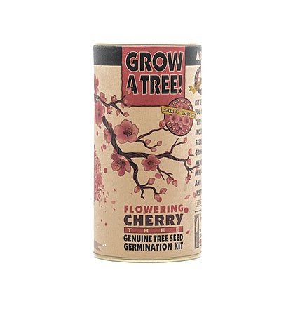 Cherry Blossom Seed Grow Kit