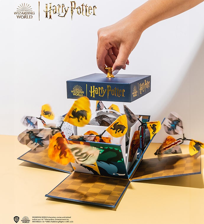 Harry Potter Hogwarts Explosion Box W/ Chocolate Cake