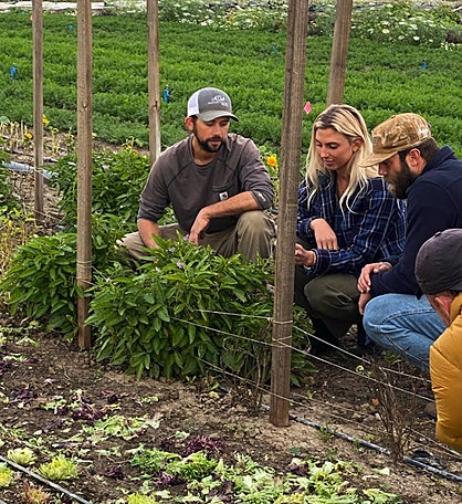 Mcgrath Family Farm Guided Tour And Wine Tasting For Two - California